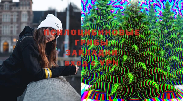 прущие грибы Абинск