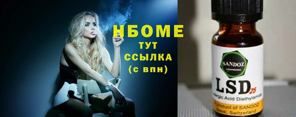 прущие грибы Абинск