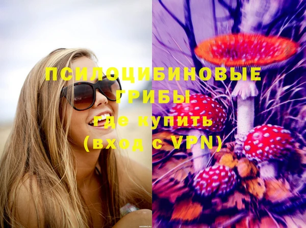 соль ск Абаза