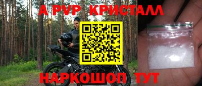 эйфоретик Донской