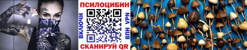 Псилоцибиновые грибы мухоморы  Норильск 